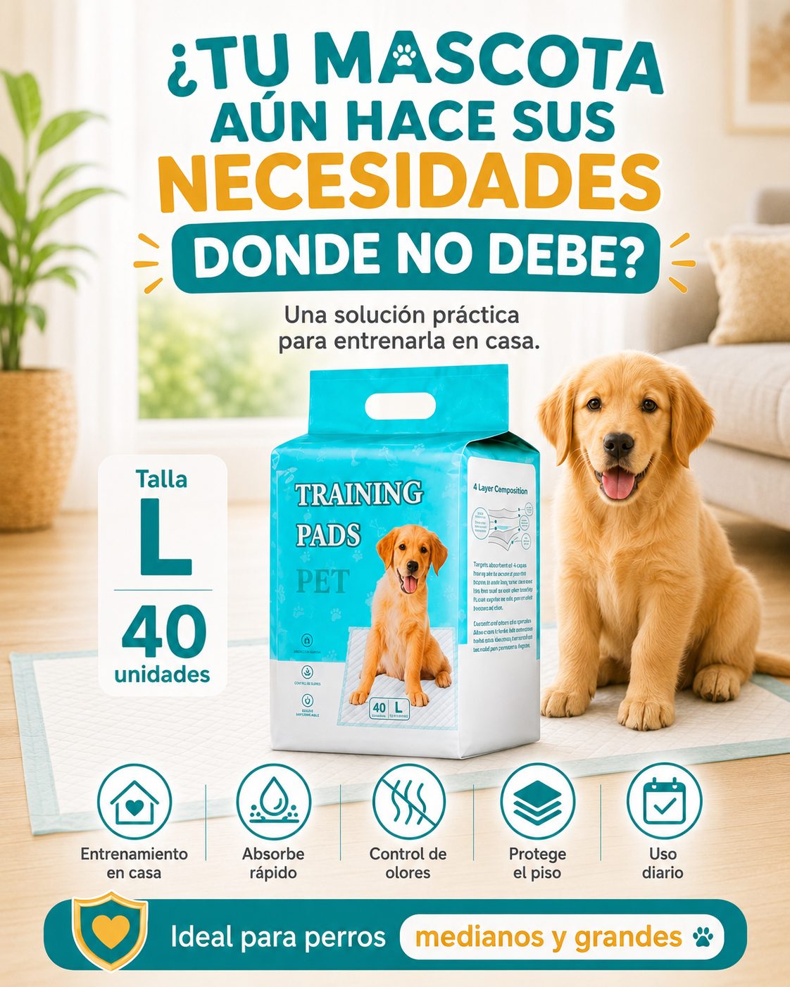 Training Pads para entrenamiento en casa
