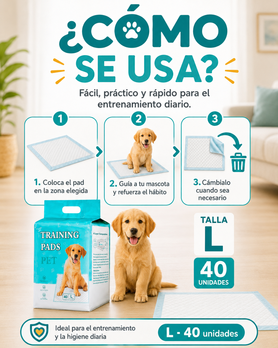 Cómo usar Training Pads