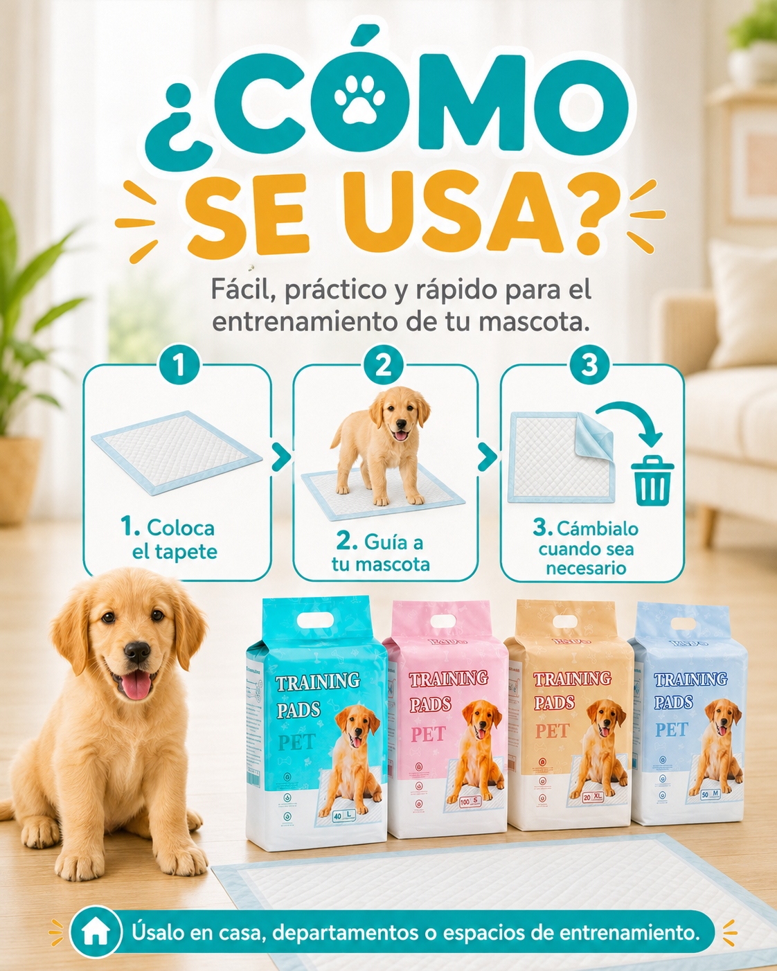 Cómo usar Training Pads