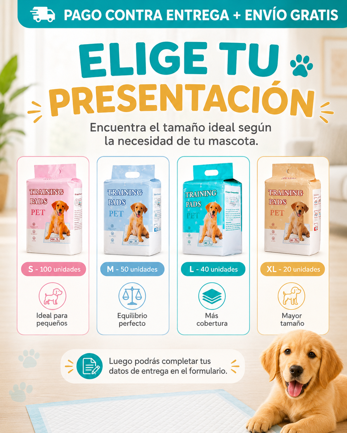 Presentaciones Training Pads